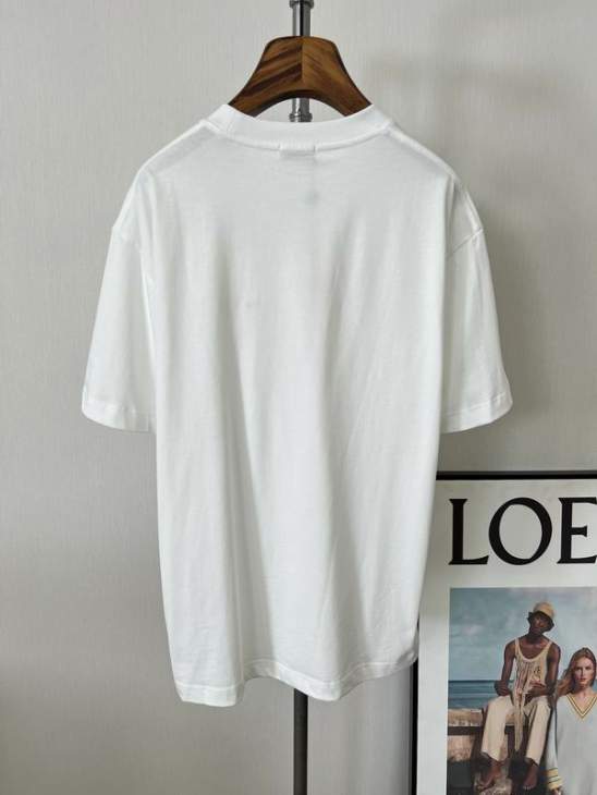 Loro Piana T Shirts Short _SKULoroPianaS-2XLtltx148712